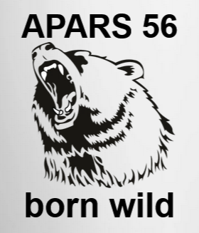 Logo 1