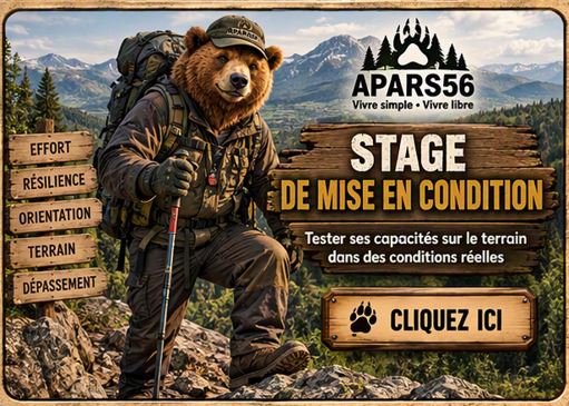 Stage mise en condition
